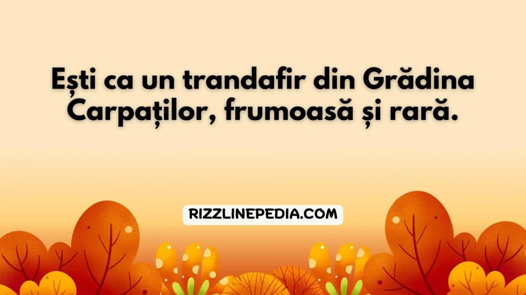 Romanian Rizz Lines