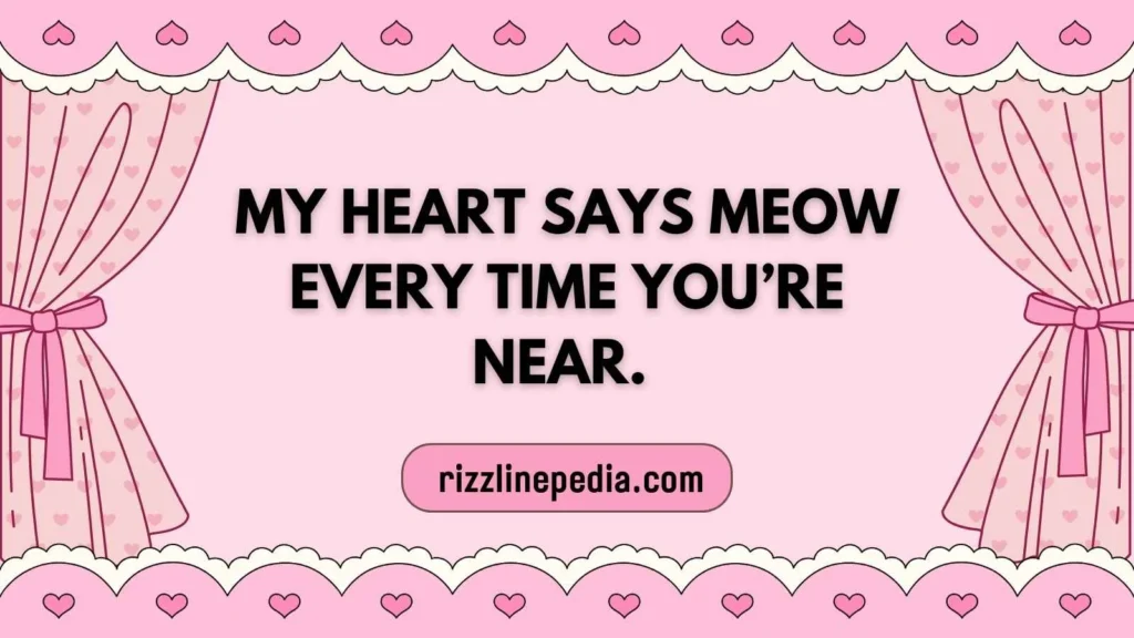 Sassy Cat Rizz Lines