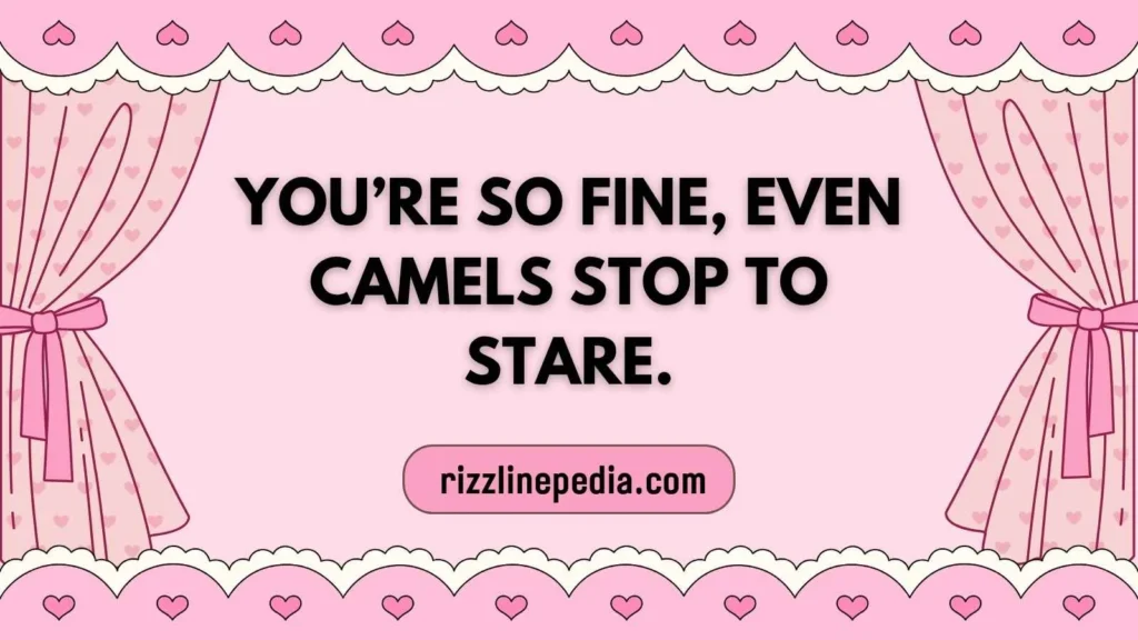 Cheeky Camel Compliments