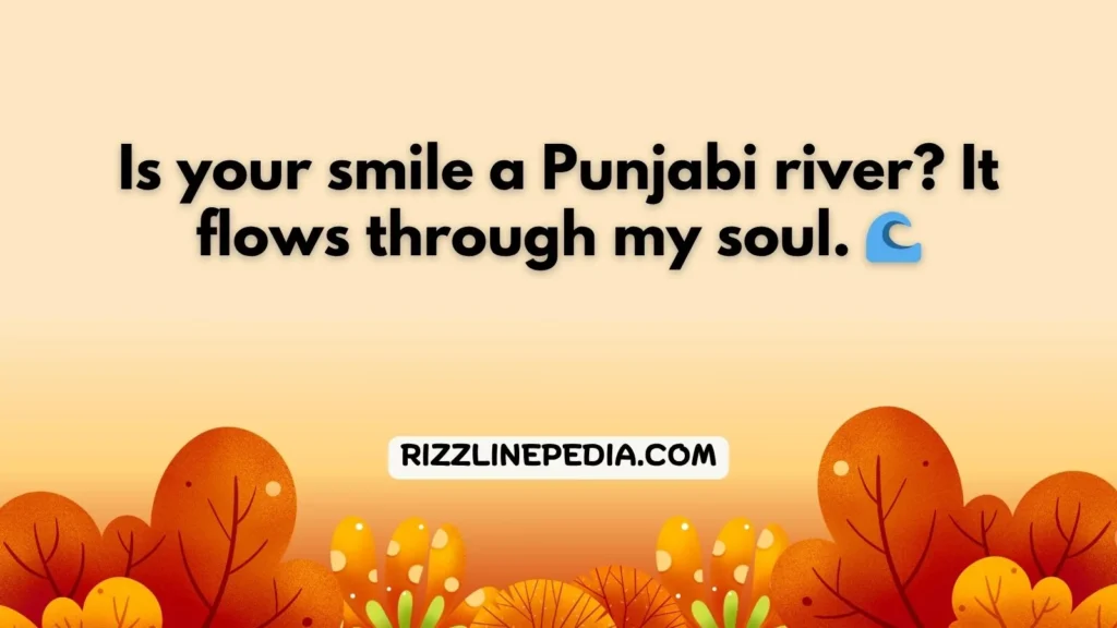 Poetic Punjabi Rizz Lines