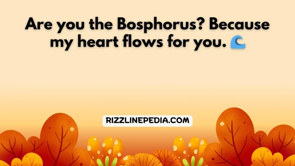 Romantic Turkey Rizz Lines